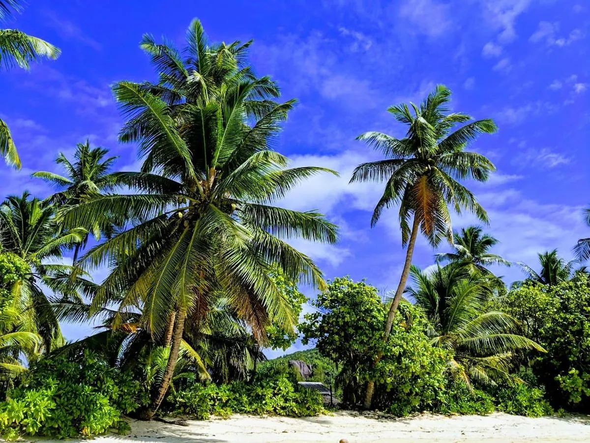 Chalets D'Anse Forbans Selfcatering Takamaka 0*,