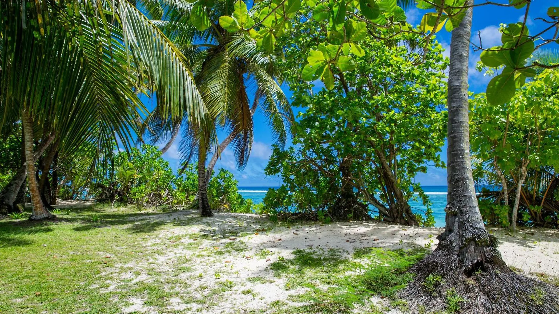 Chalets D'Anse Forbans Selfcatering Takamaka