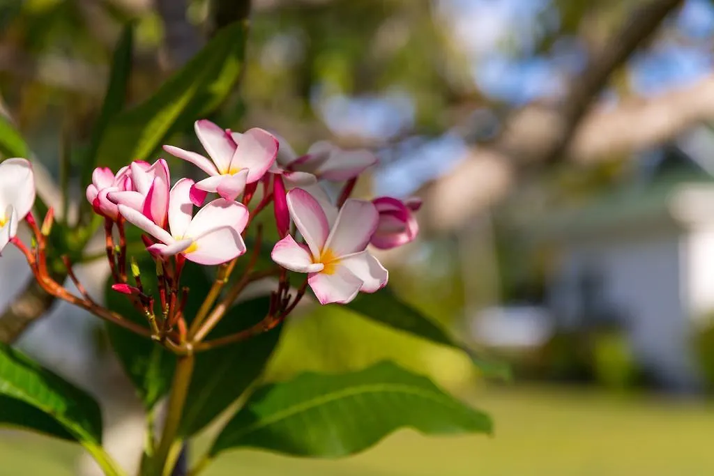 Chalets D'Anse Forbans Selfcatering Takamaka