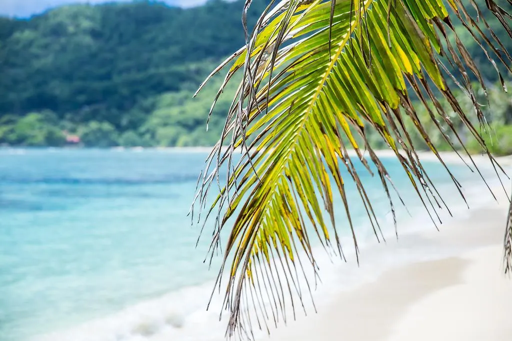 Chalets D'Anse Forbans Selfcatering Takamaka Seszele